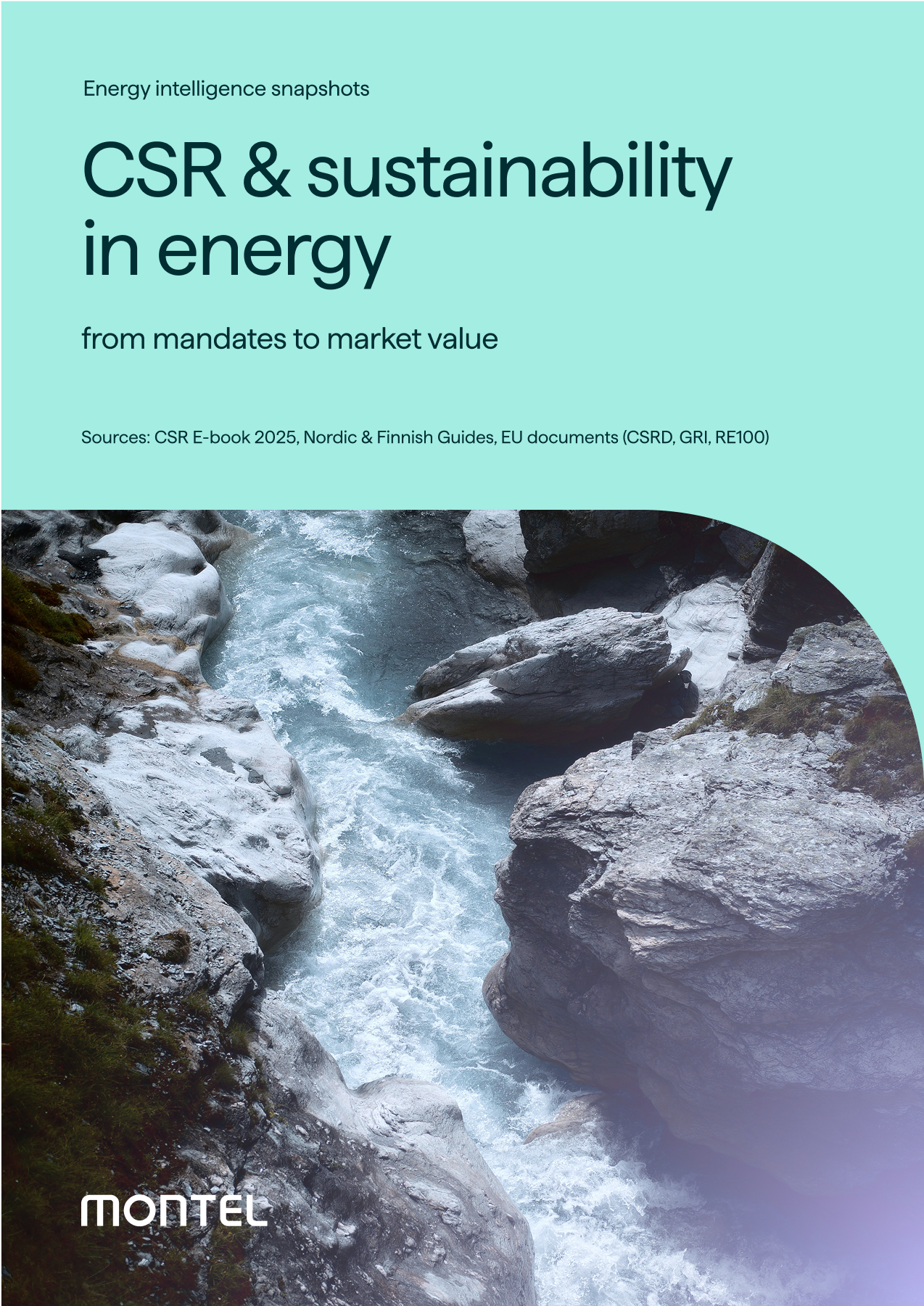 CSR and sustainability in energy