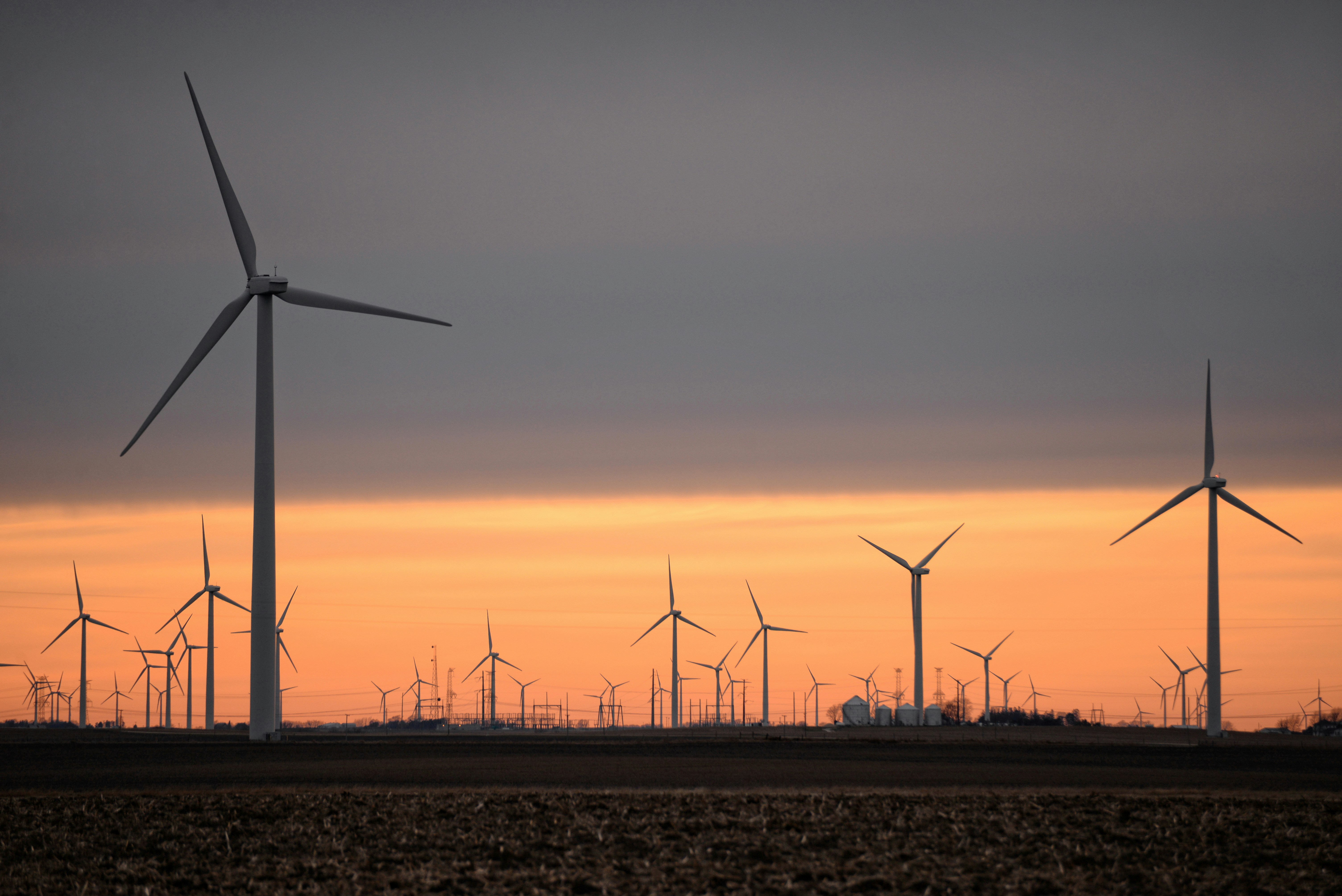 Wind farm at dusk