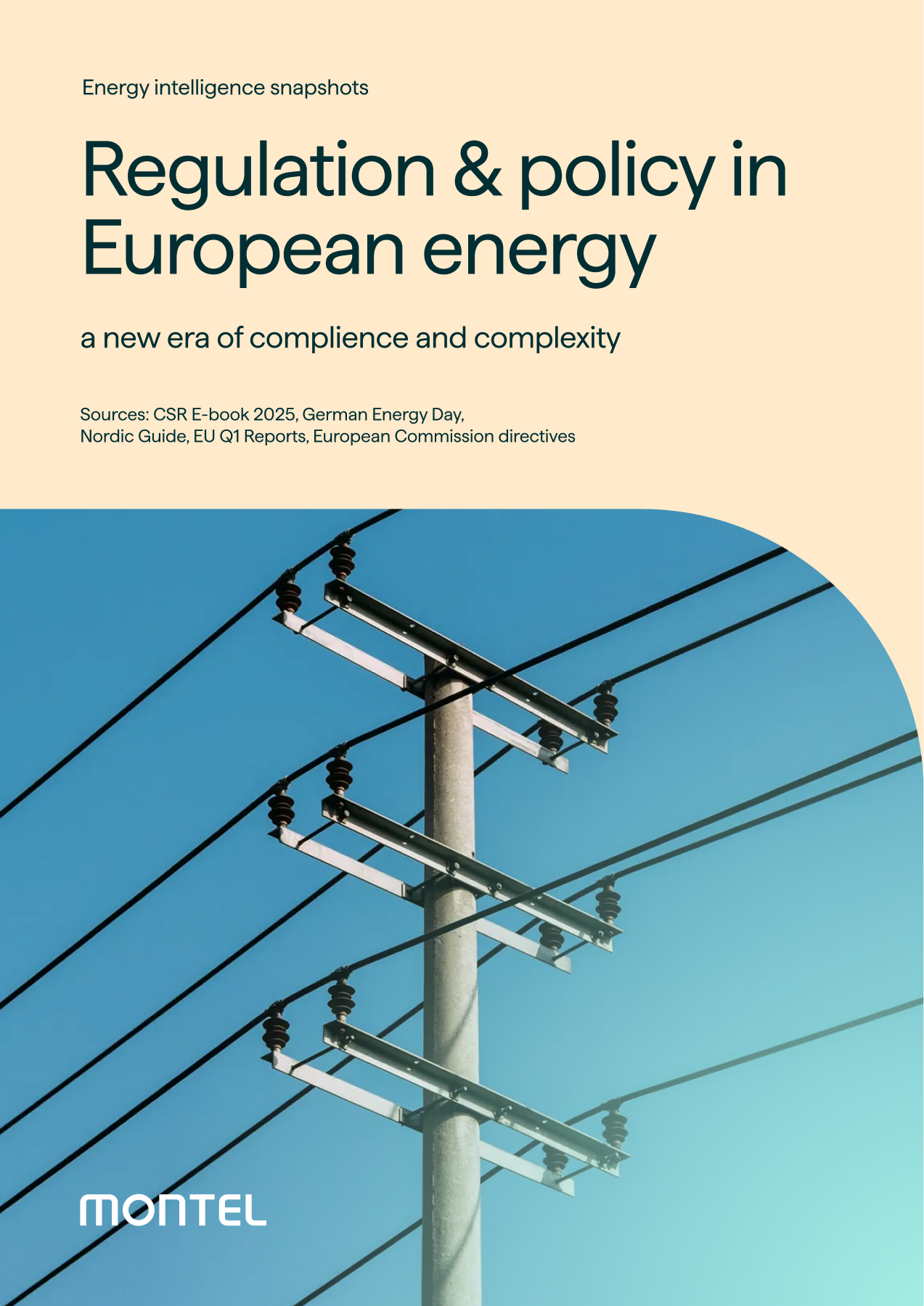 Regulation and policy in European energy