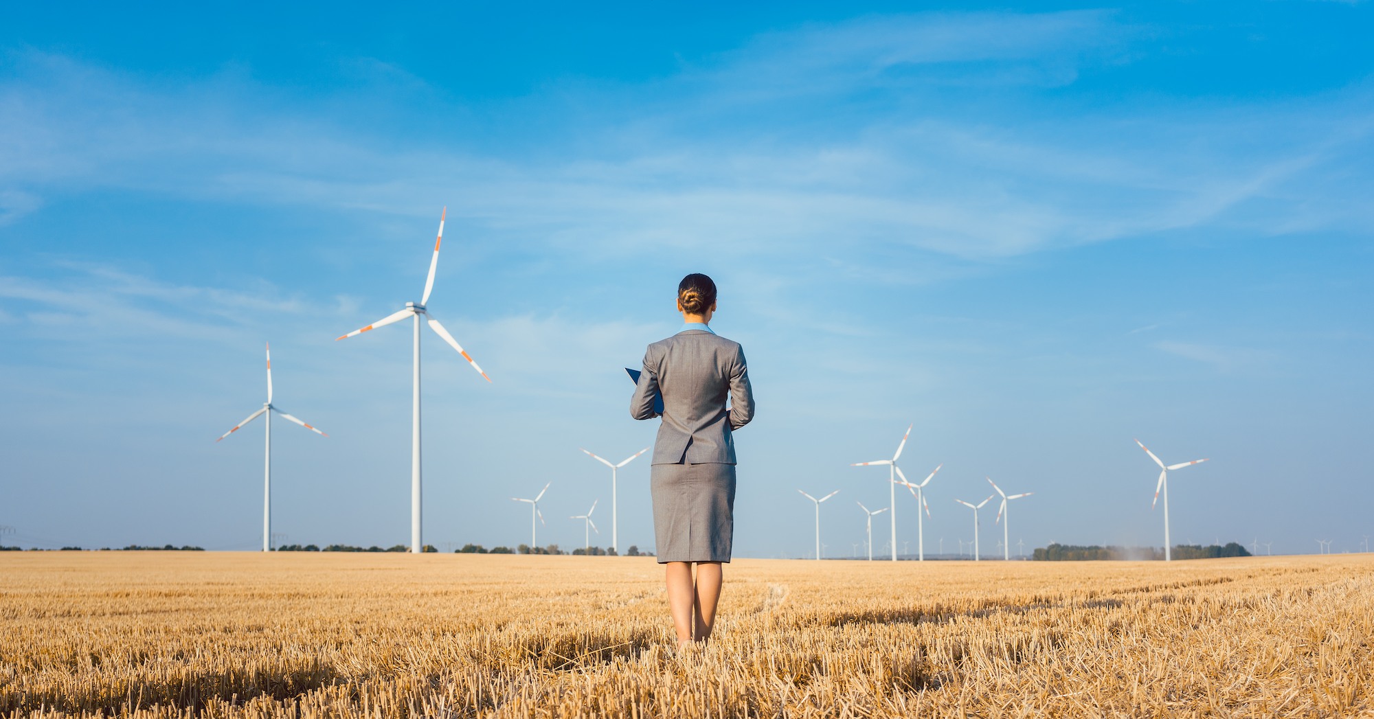 Renewables investor