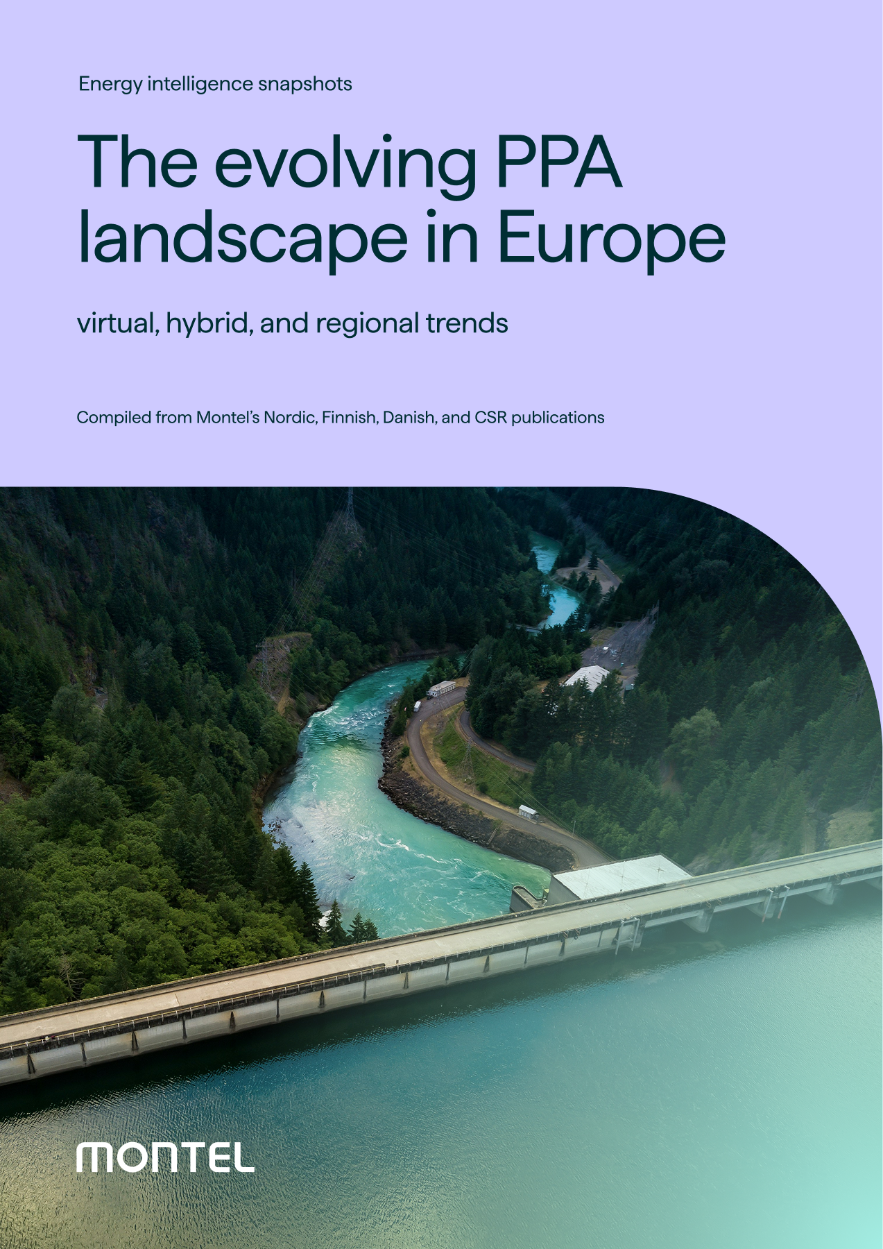 The evolving PPA landscape in Europe